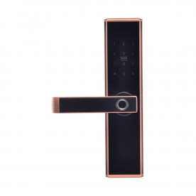 Биометрический электромеханический замок Trinix TRL-5109BTF