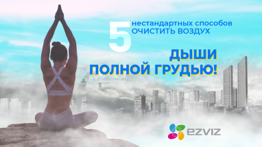 Дыши на полную! 5 нестандартных способов очистить воздух (и 1 стандартный)