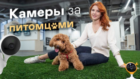 Как выбрать камеры видеонаблюдения за животными / Рекомендации эксперта безопасности