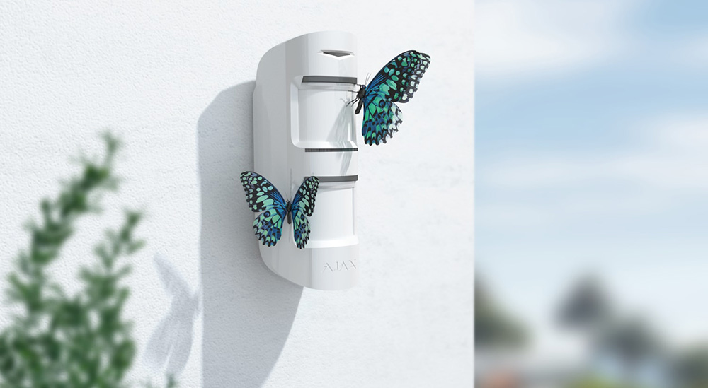 butterflies1@1x.jpg (101 KB)